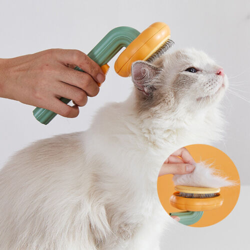 Pet Pumpkin Brush,